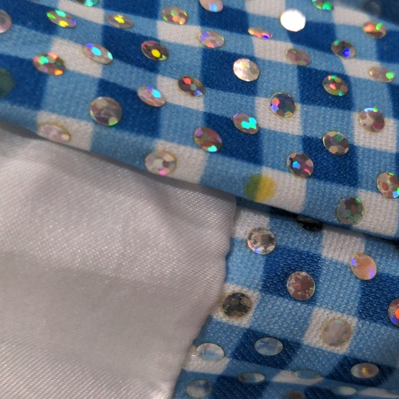 Dorothy wizard of oz - Picture 5 of 5